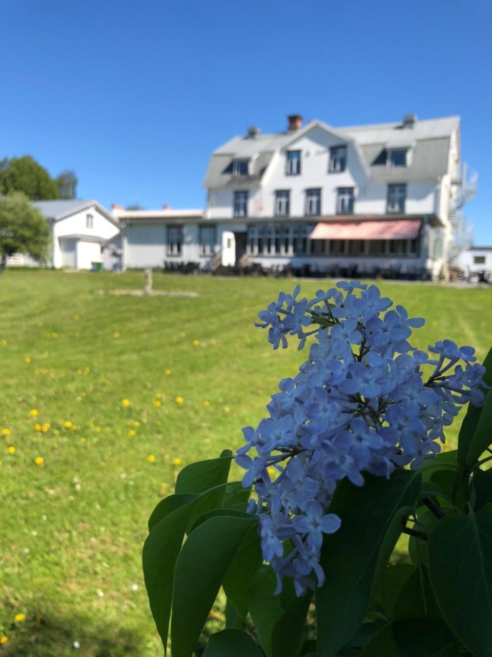 Hotell Restaurang Naemforsen Näsåker Kültér fotó